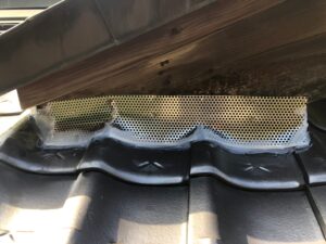 北九州市 寺院S様アライグマ対策施工